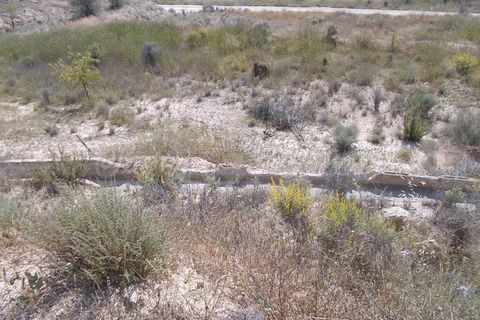 Cave house i Abanilla, Murcia, Abanilla - € 49.000 | Ref: SF0070 - foto 12